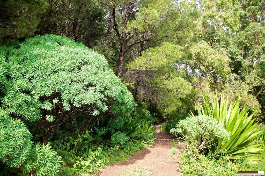 Tarrafal  Farinha De Pau - Eco B&B المظهر الخارجي الصورة
